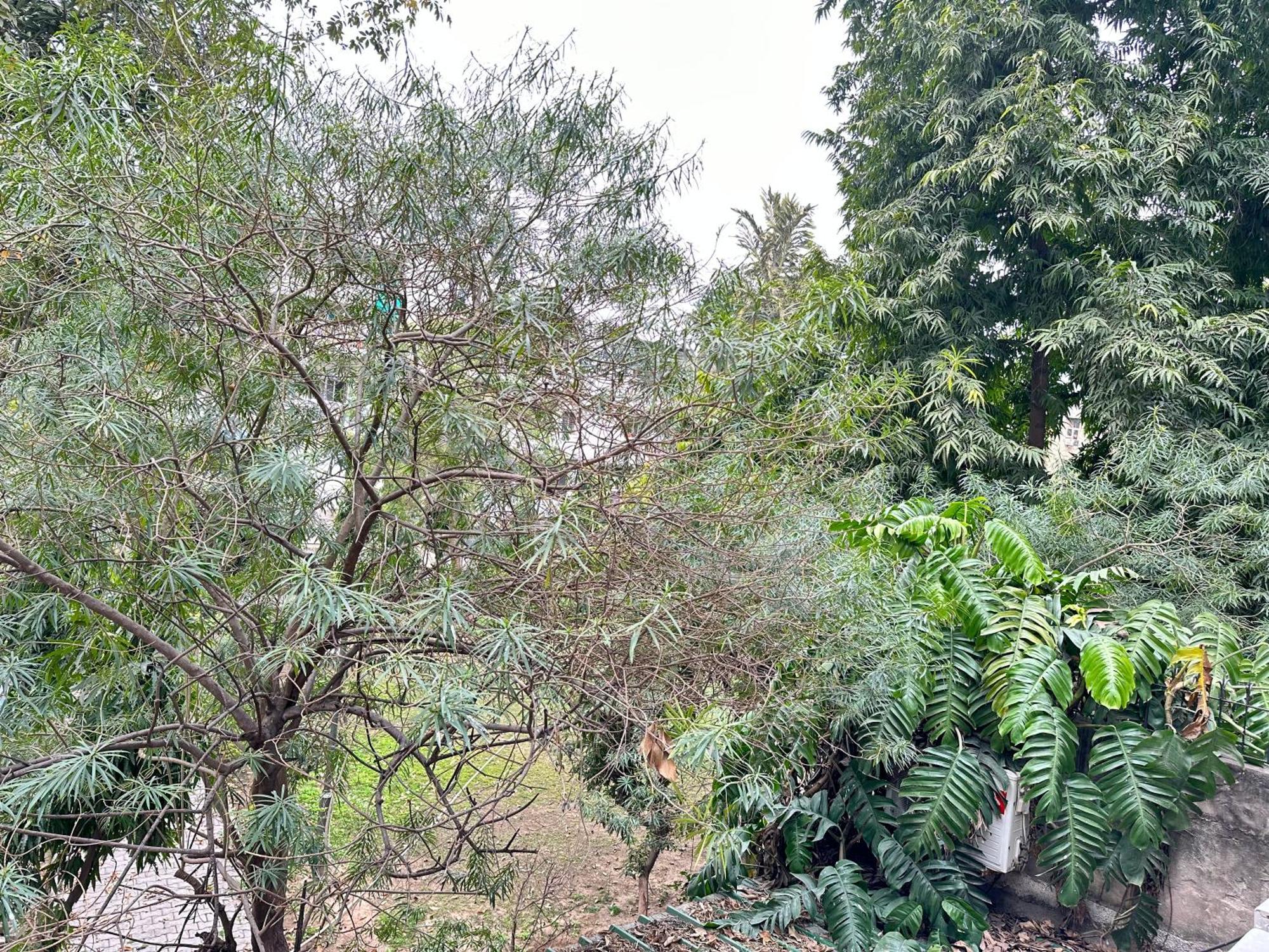 Grove Residency Hauz Khas New Delhi Couple Friendly Hotel Екстериор снимка